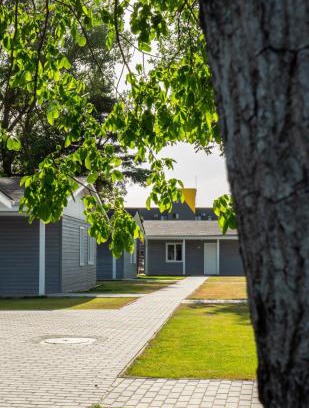 Satu Mare Apartment | Poiana cu flori