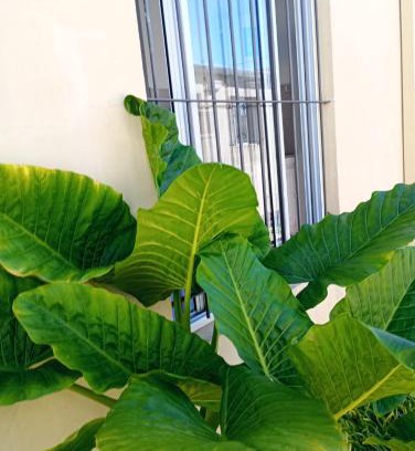 Gualeguaychu Apartment | Posada peninsula