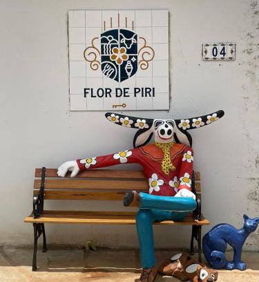 Pirenopolis Hotel | Pousada Flor de Piri