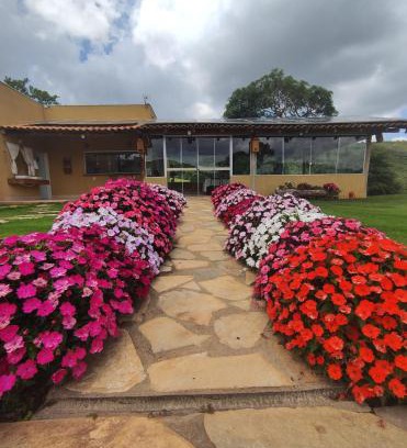 Guape Hotel | Pousada Mirante dos Ipês - Capitólio - MG