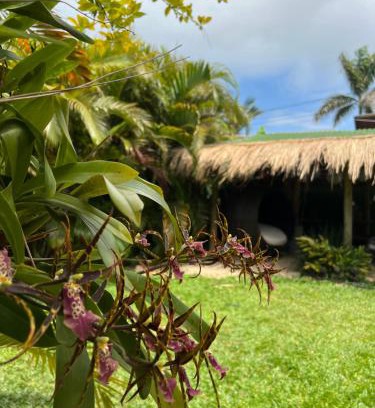 Pinheira Hotel | Pousada Vila Piola