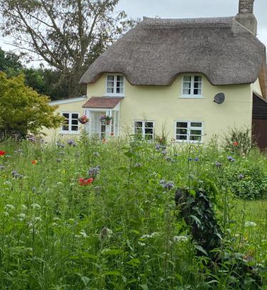 Holworth House | Primrose Cottage