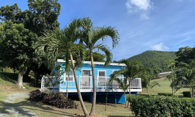 Cane Bay Cottage | PRIVATE Beachview Cottage Steps to Cane Bay Beach