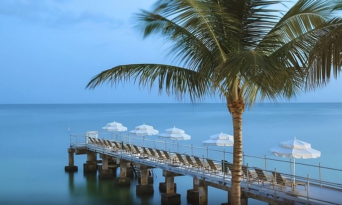 Uptown - Upper Duval Resort | Private Tanning Pier! 4 Modern Units By The Beach, 3 Onsite Pools, Beach Access