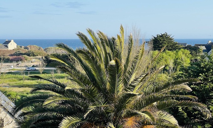 Coatroual Villa | Propriété - Jardin Exotique en Bordure de L'océan