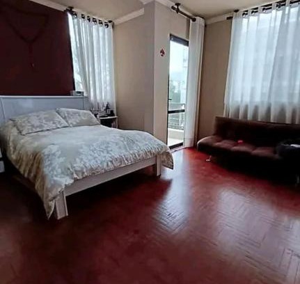 Villa Pehuenia Apartment | Puerto Fernández