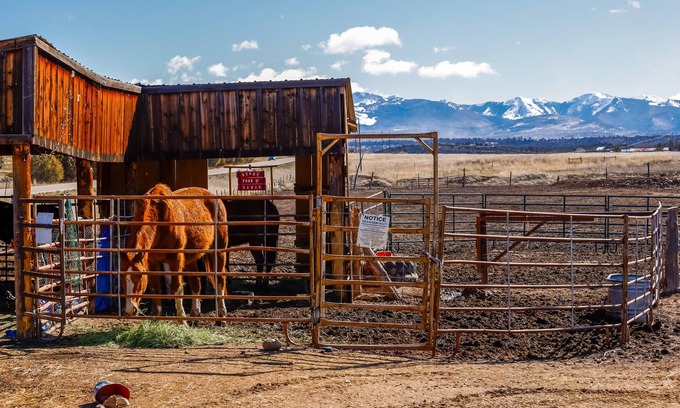 Mancos Apartment | Quaint Mancos Getaway w/Farm & Mountain Views