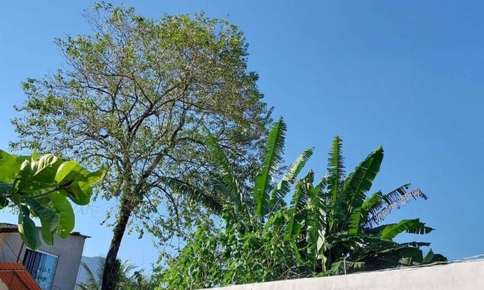Sertao da Quina Cottage | Quarto Para Grupo até 4 Pessoas Praia da Maranduba Ubatuba Sp