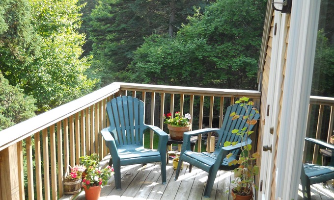 Seawall Apartment | Quiet Wooded Setting near Acadia National Park