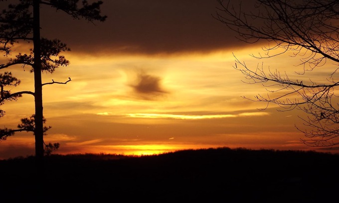 Licking House | Quite beautiful pine forest vista overlooking the Big Piney River.