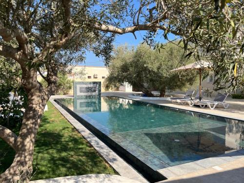 Djerba Midun Apartment | Résidence Jamila Location Appartements confort piscine proche zone touristique