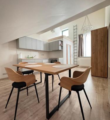 Pilsen Apartment | Radbuza Apartment