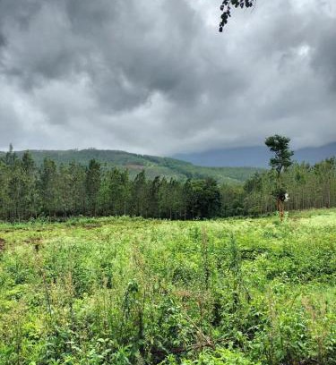 Chikkamagaluru House | Rainbow Villa