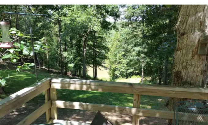 Fredericksburg House | Rapidan Hill - River front guest house