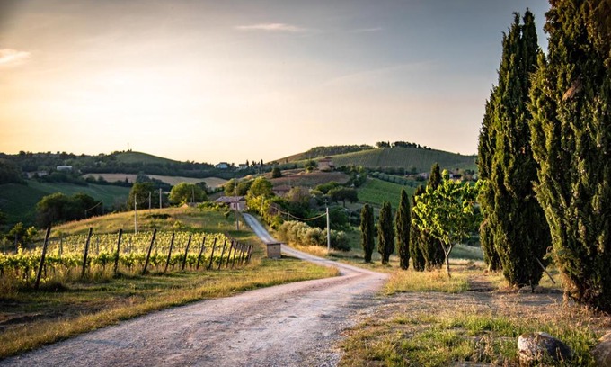 Montalto delle Marche House | Recchi Franceschini Bike Hotel LAST - MINUTE - AVAILABILITY