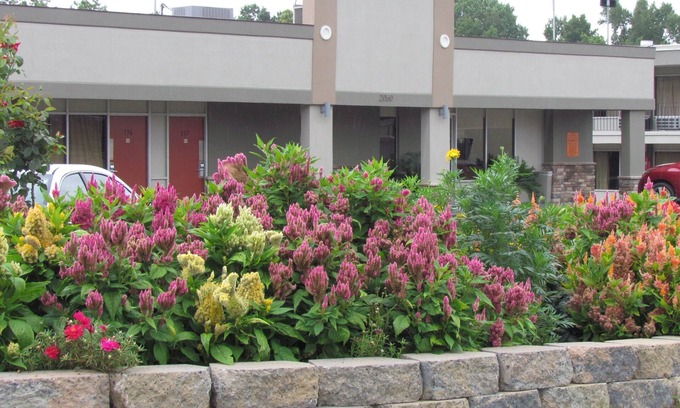 Augusta Hotel | Red Carpet Inn