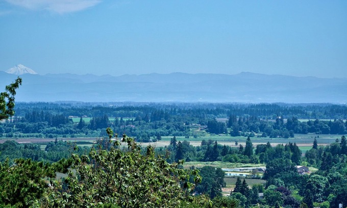 Dundee House | Red Hills Vacation ~ Three Bedroom Guest Suite with a Private Hot Tub and Sauna