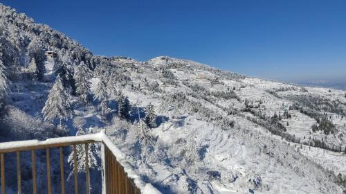 Fagu Apartment | Regency I Vacations I Conference I MICE I Family Events I Open Air Terrace I Sky Bonfire I Wooden Rooms With Pvt Balconies I Charvi Retreat by Exotic Stays