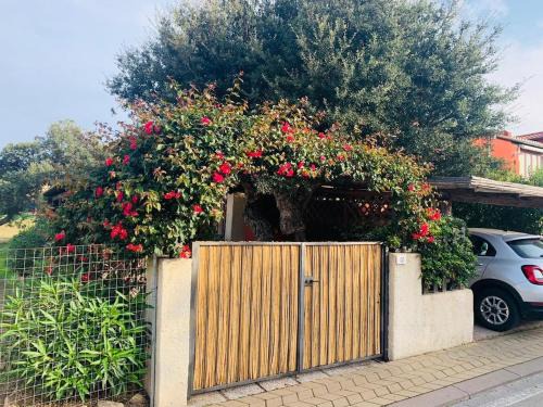 Olbia Apartment | Relax in Olbia Apartment with Private Garden 2 Bedrooms