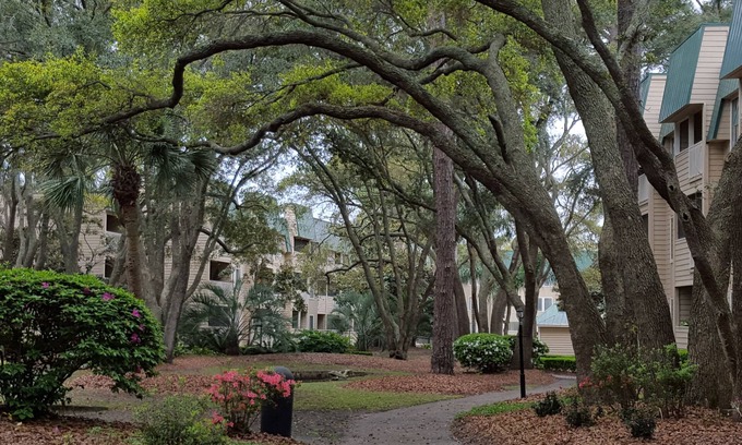 Palmetto Dunes Villa | Relaxing And Fun Beachhouse