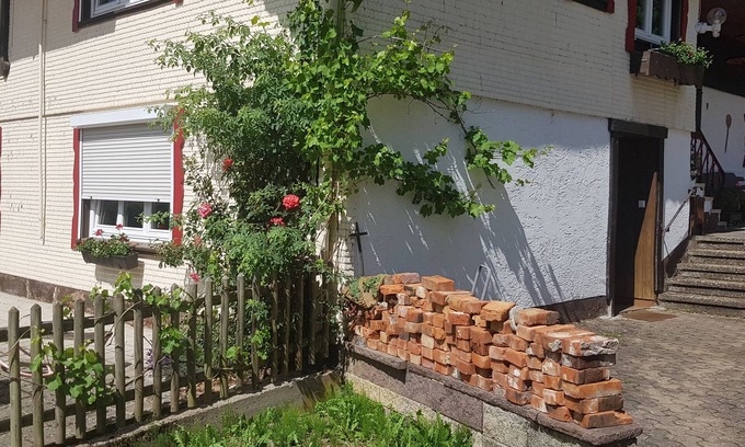 Buhlbach Apartment | Relaxing in the Black Forest? - You've come to the right place!