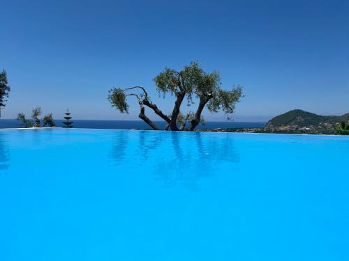 Santa Maria di Castellabate Apartment | Residence Serrone