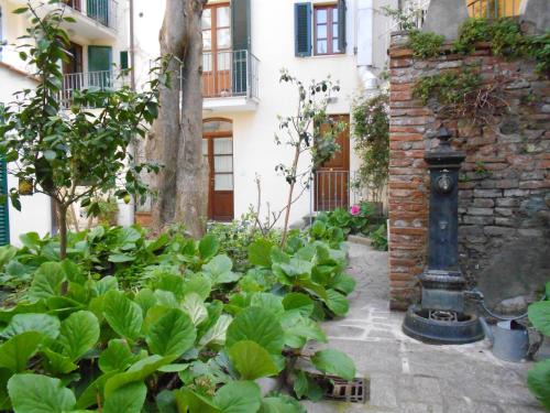 Pisa City Centre Apartment | Residence Domus