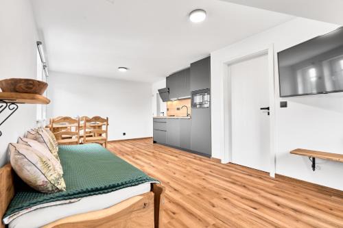 Bozi Dar Apartment | Residence Koubek - stylový apartmán 9 s parkováním
