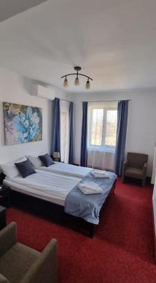 Baile Felix Apartment | RIA Room - Apartemente 9