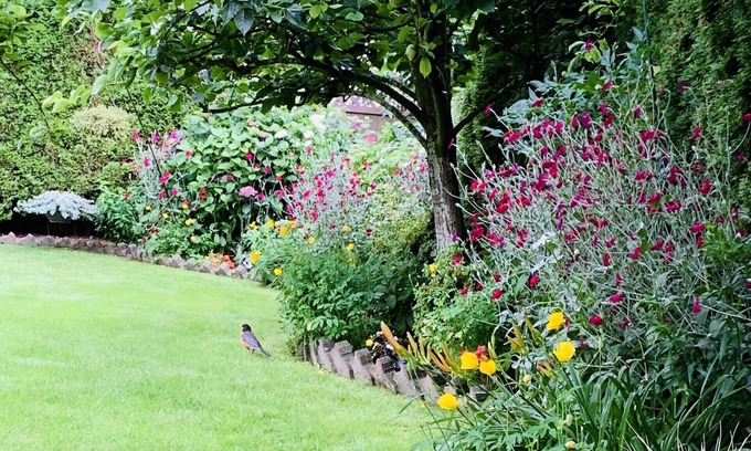 Richmond House | Richmond Garden Retreat 1