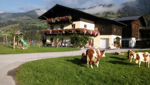 Taxenbach House | Rieserhof/Fam. Meißnitzer
