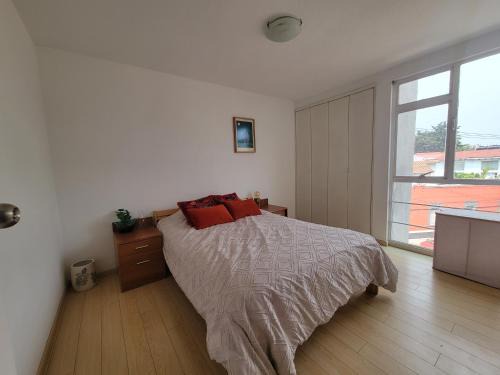 Coyoacan House | Rincón Raíz