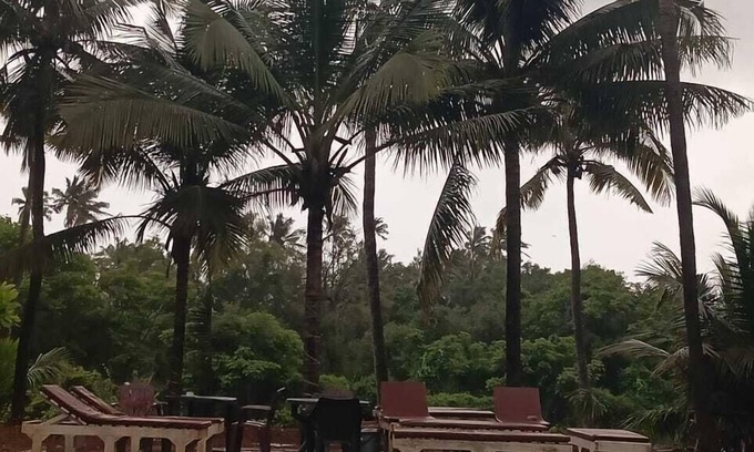 Mandrem Hotel | Rivaba Resort by White Villa Goa
