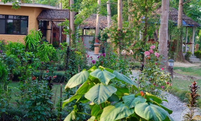 Sauraha Hotel | River View Jungle Camp