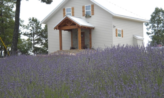 Melbourne Ski Chalet | Roberts Belle Vue (Beautiful View) Chalet