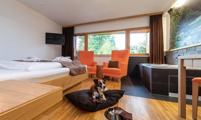 Ramsau am Dachstein House | Romantic room "Wasser" Shortstay, with shower, WC - Almfrieden Hotel &