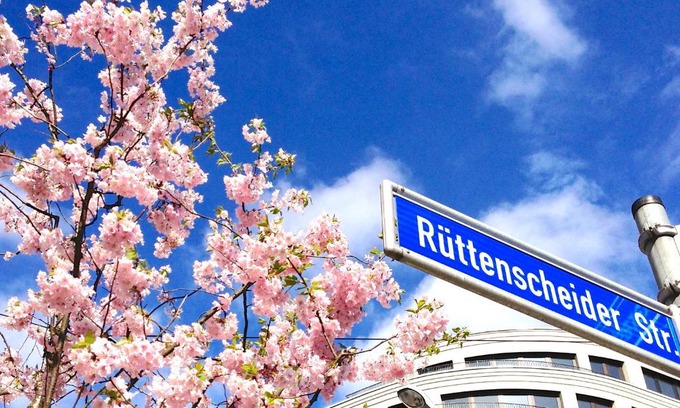 Ruettenscheid Apartment | RÜ Business Apartments & Suites