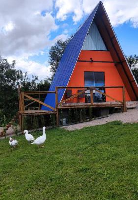 Miringuava Cabin | Sítio Eco-Betel Chalé Pitanga