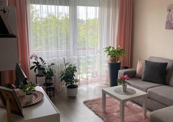 Nyiregyhaza Apartment | Sóstó Forest Apartman