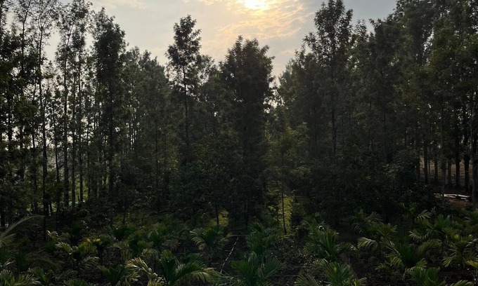 Piriyapatna Other | S R Retreat – Workation & Nature Escape in Malanad