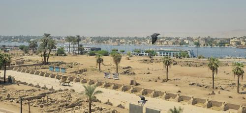 Luxor Hotel | S S Luxor Hotel