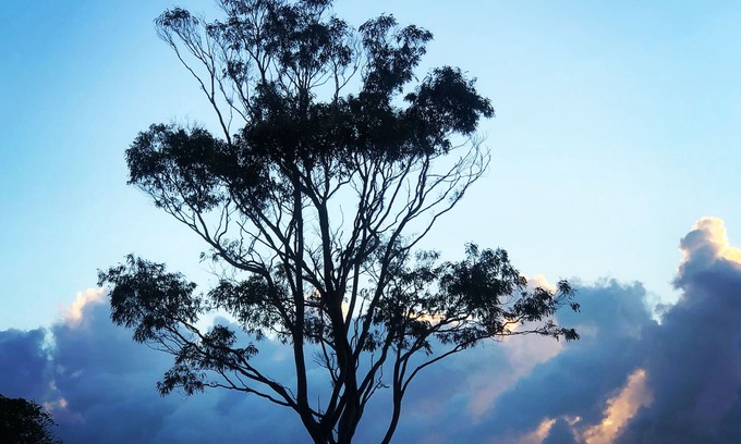 Kiama House | Saint Cloud Retreat - A serene piece of Heaven - Rest Restore Rejuvenate