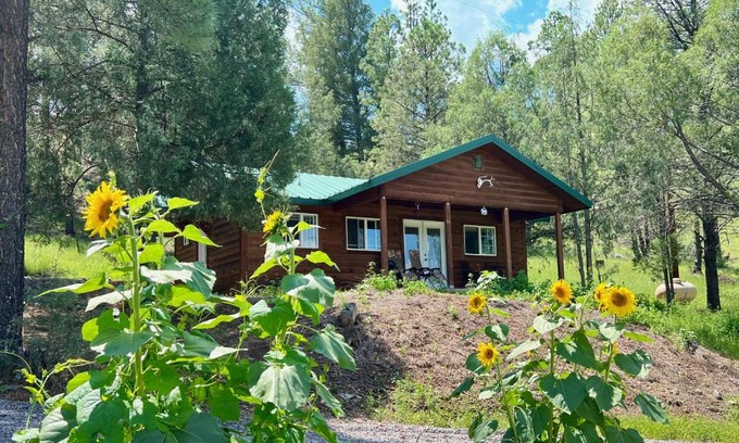 San Lorenzo House | Salt Creek Cabin In The Gila