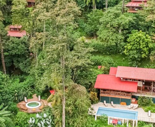 Hone Creek Cabin | Samasati Rainforest Bungalows