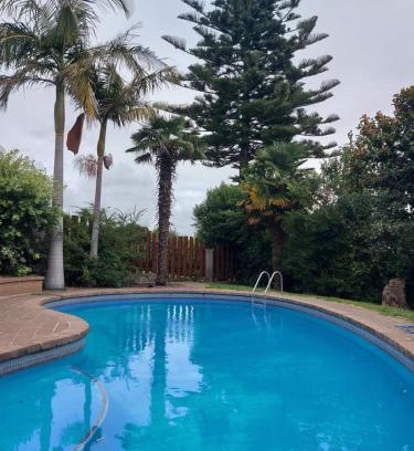 Tauranga Apartment | Sanctuary 4
