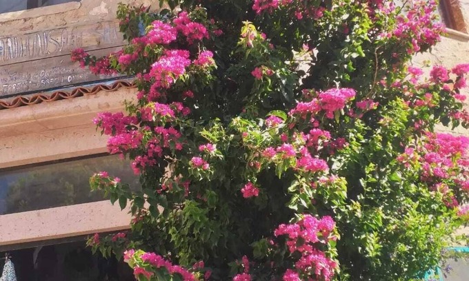 Ayvalik House | Sanli Butik Hotel
