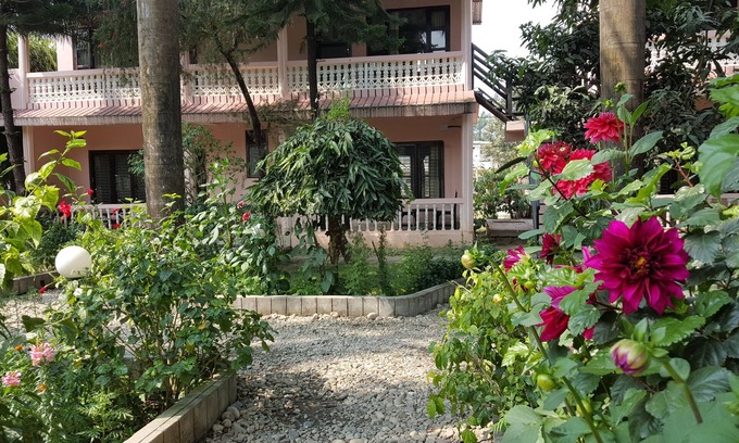 Sauraha Hotel | Sauraha Resort