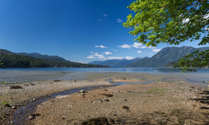 West Porpoise Bay House | Sechelt Inlet views! 1 BR. Private suite in West Porpoise Bay Area STR0077