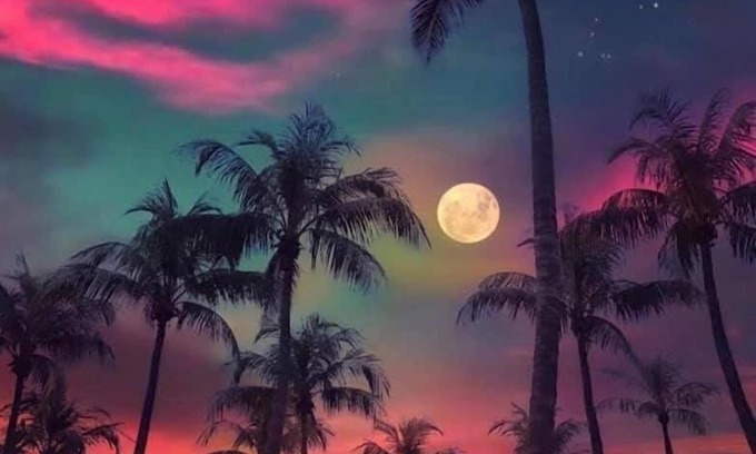 Beachway Estates House | Secluded Corner Lot Florida Ranch House With Fenced, Heated Pool