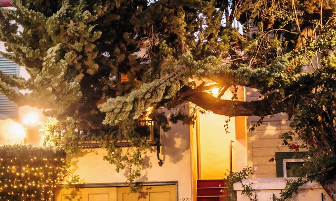 Marina District Apartment | Secluded Courtyard Studio with Kitchen & Private Entrance